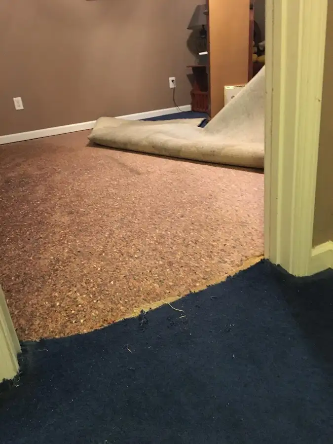 Carpet pad removal revealing water damage during Drying & Dehumidification in West Park