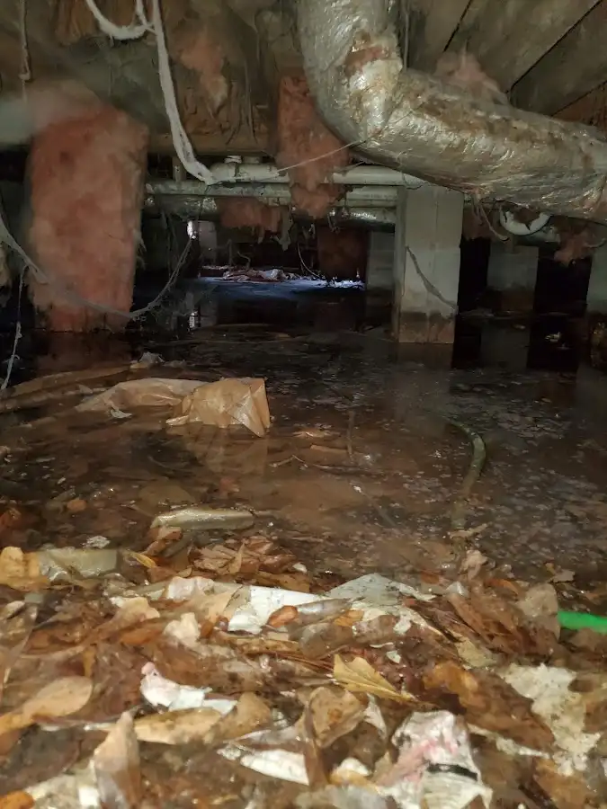 Crawl space flood assessment for Leak Detection & Repair in West Park